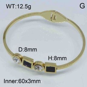 SS Bangle  3BA40002ahlv-355