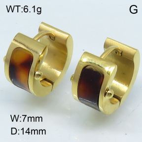 SS Earrings  3E30019bhia-317