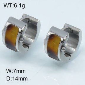 SS Earrings  3E30020vhha-317