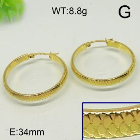 SS Earrings  6324145vaii-613