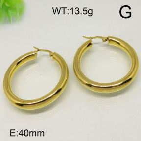 SS Earrings  6324170vbll-613