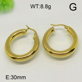 SS Earrings  6324173vbll-613