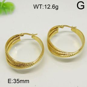 SS Earrings  6324455vbmb-423
