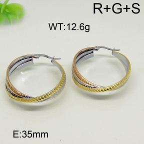 SS Earrings  6324456bbov-423
