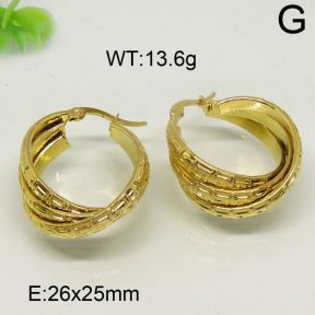 SS Earrings  6324457vbmb-423