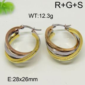 SS Earrings  6324458bbov-423