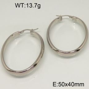 SS Earrings  6324579vbmb-423