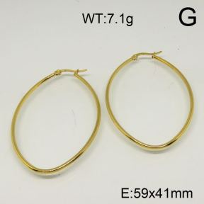 SS Earrings  6324584avja-423