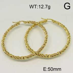 SS Earrings  6324588vbmb-423