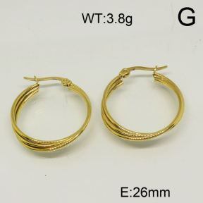 SS Earrings  6324594ablb-423