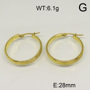 SS Earrings  6324598vail-423