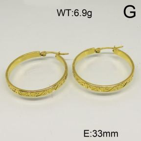 SS Earrings  6324599vail-423