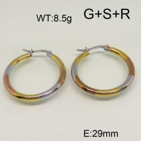 SS Earrings  6324601ablb-423