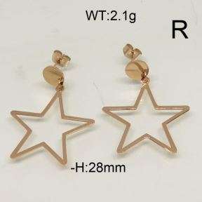 SS Earrings  6324664bhia-684