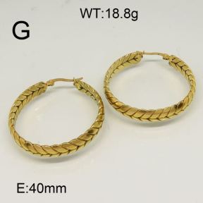 SS Earrings  6324700bhva-656