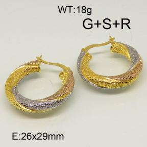 SS Earrings  6324701ahlv-656