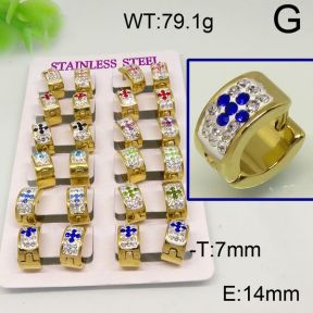 SS Earrings  6345220akia-450