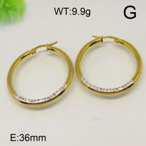SS Earrings  6345396vbll-613