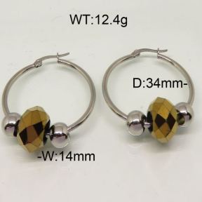 SS Earrings  6345641avja-212
