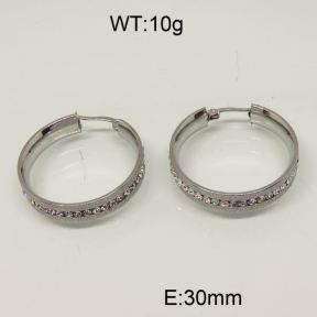 SS Earrings  6345813bbov-463