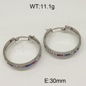 SS Earrings  6345814bbov-463
