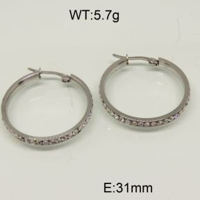 SS Earrings  6345815vbnb-463