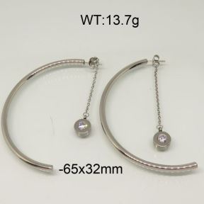 SS Earrings  6345841vbnb-212