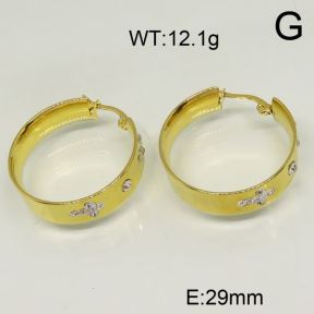 SS Earrings  6345881vbpb-423