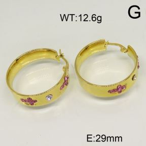 SS Earrings  6345882vbpb-423
