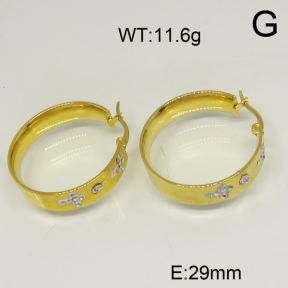 SS Earrings  6345885vbpb-423