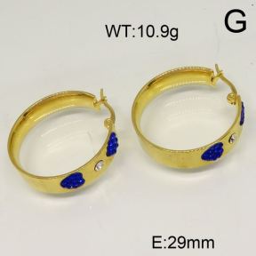 SS Earrings  6345886vbpb-423