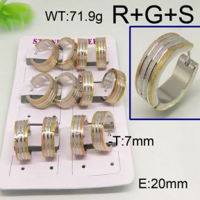 SS Earrings  6350075ajia-450