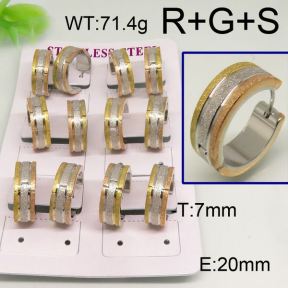 SS Earrings  6350076ajia-450