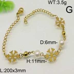 SS Bracelet  6431694bbov-350