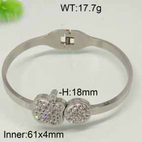 SS Bangle  6741832ahjb-642