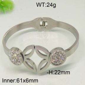 SS Bangle  6741836ahjb-642