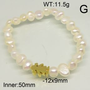 SS Bracelet  6B30003bhia-308