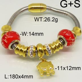 SS Bracelet  6B40056ahlv-450