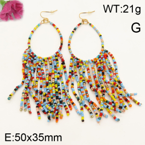 Fashion Earrings  F3E300696bhia-K53