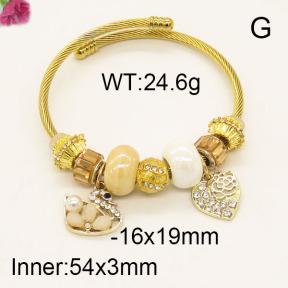 Fashion Bangle  F6BA41164vhnv-J39