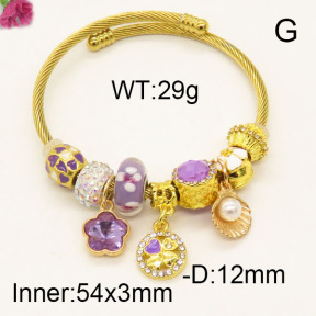 Fashion Bangle  F6BA41168vhnv-J39