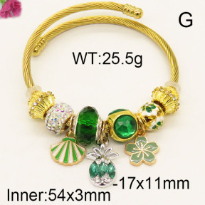 Fashion Bangle  F6BA41169vhnv-J39