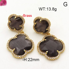 Fashion Brass Earrings  F6E41782ahpv-L002