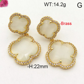 Fashion Brass Earrings  F6E41785ahpv-L002