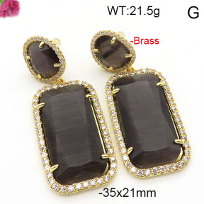 Fashion Brass Earrings  F6E41798vihb-L002