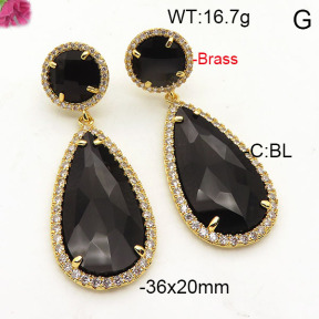 Fashion Brass Earrings  F6E41803vihb-L002