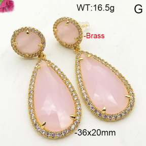 Fashion Brass Earrings  F6E41804vihb-L002