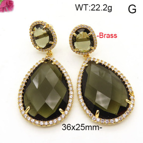 Fashion Brass Earrings  F6E41828vihb-L002