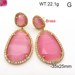 Fashion Brass Earrings  F6E41860vihb-L002
