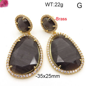Fashion Brass Earrings  F6E41870vihb-L002